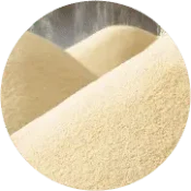 LESAFFRE - Trockenhefe